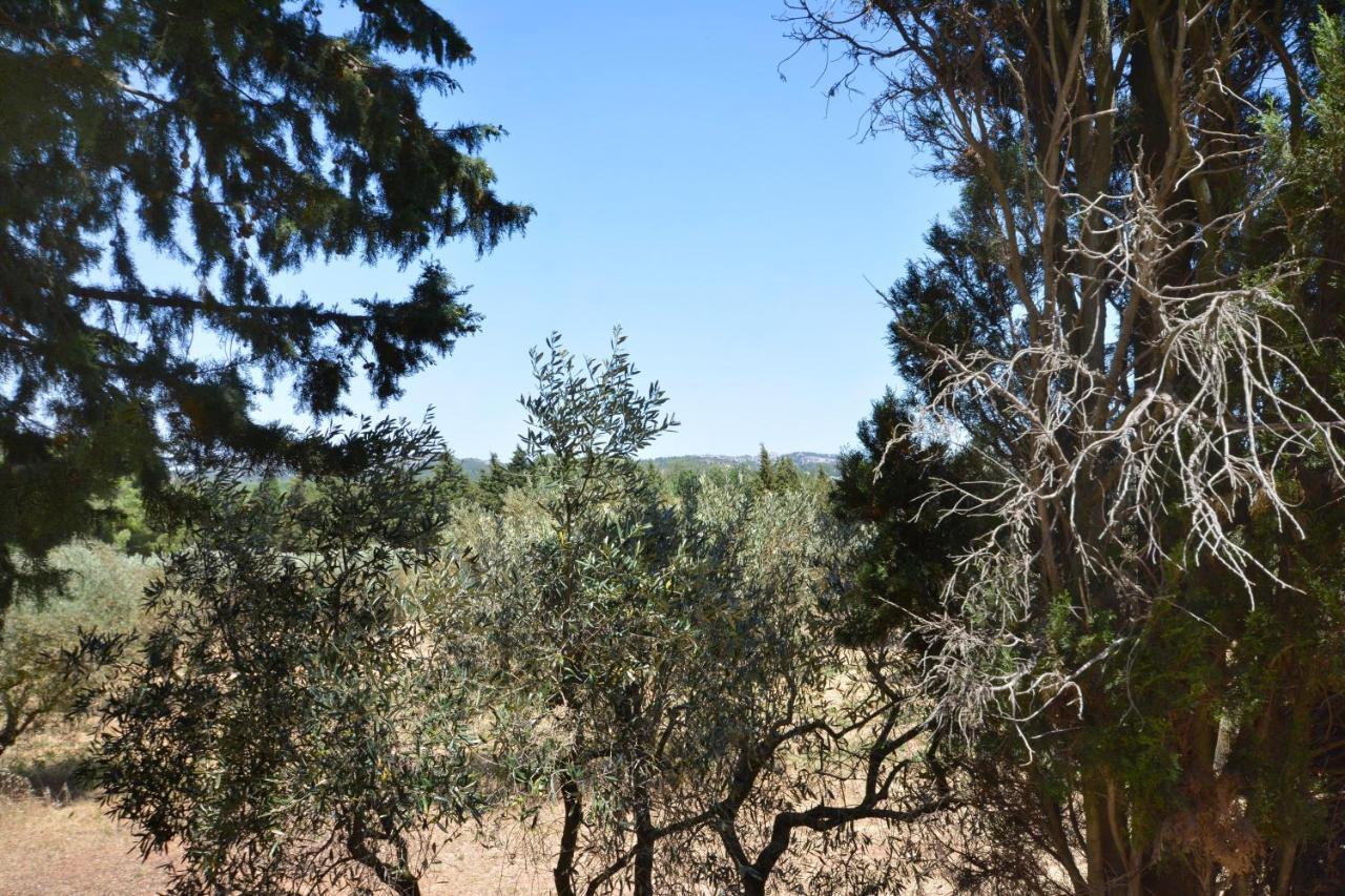 Les Mazets De La Reine Pedauque Villa Paradou Luaran gambar
